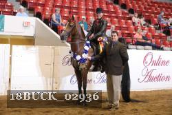 18BUCK_02936 proof
