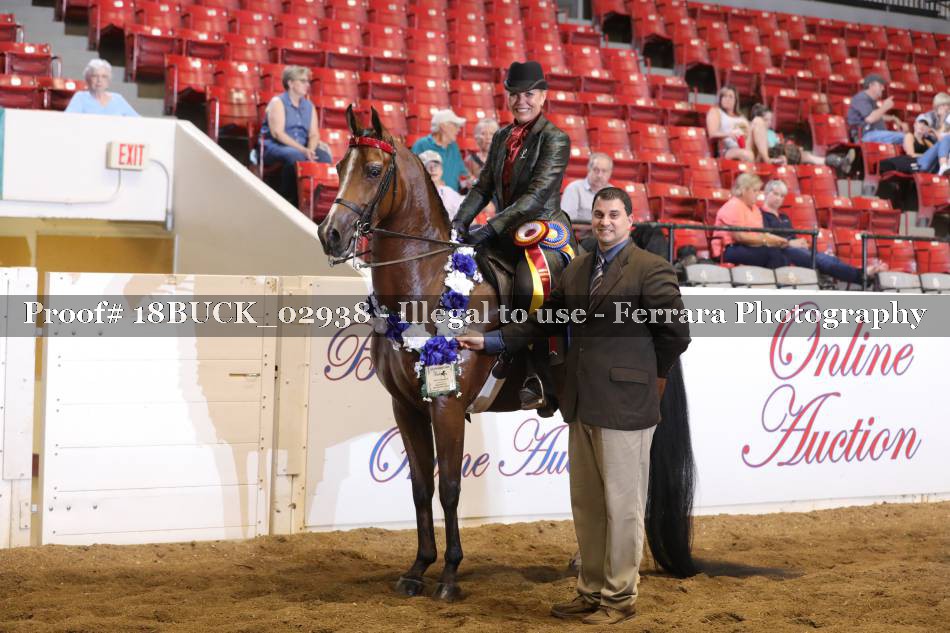 Proof 18BUCK_02938
