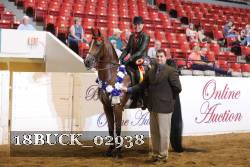 18BUCK_02938 proof