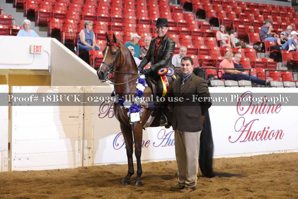 Proof 18BUCK_02939