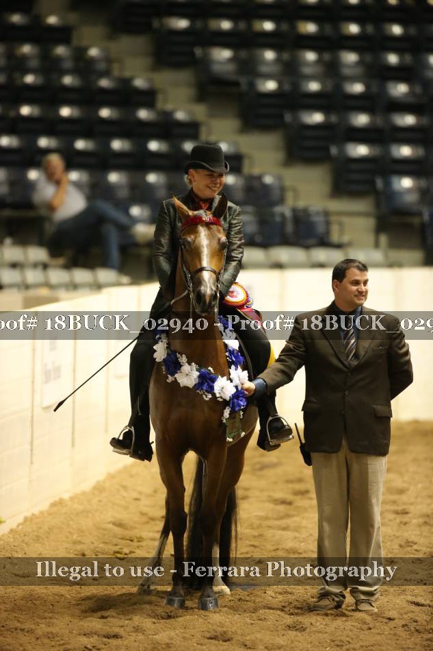 Proof 18BUCK_02940