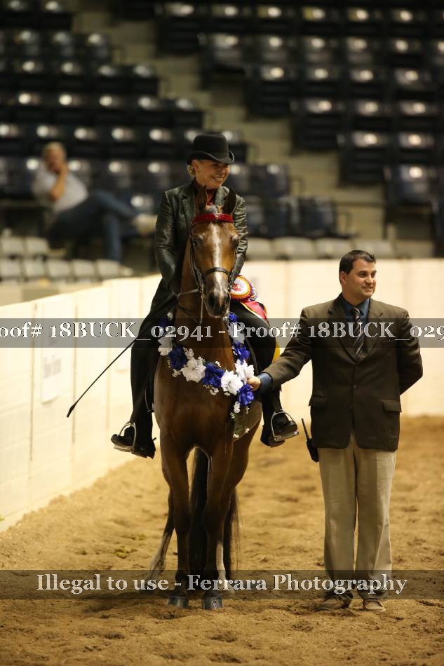 Proof 18BUCK_02941