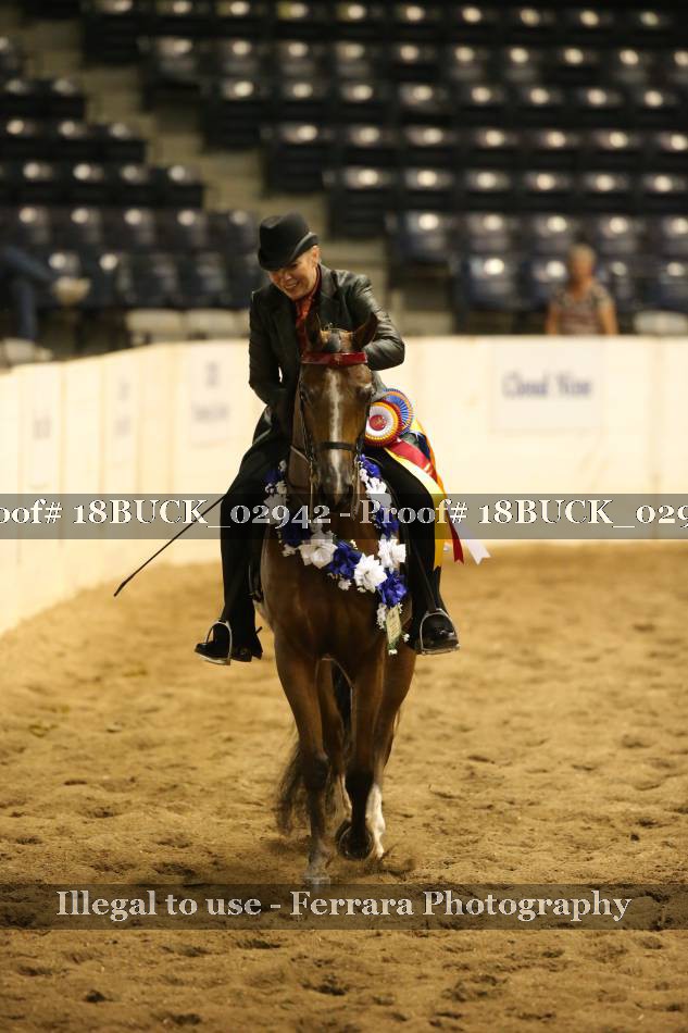 Proof 18BUCK_02942