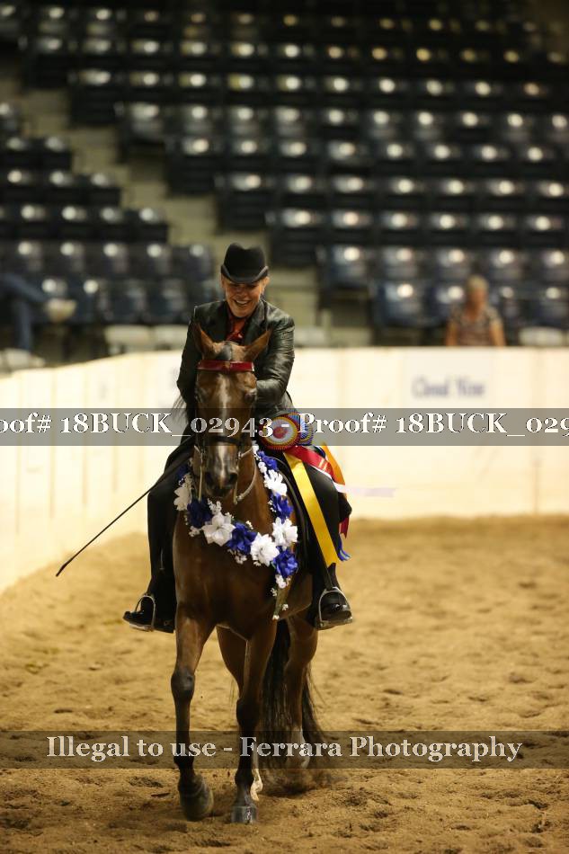 Proof 18BUCK_02943