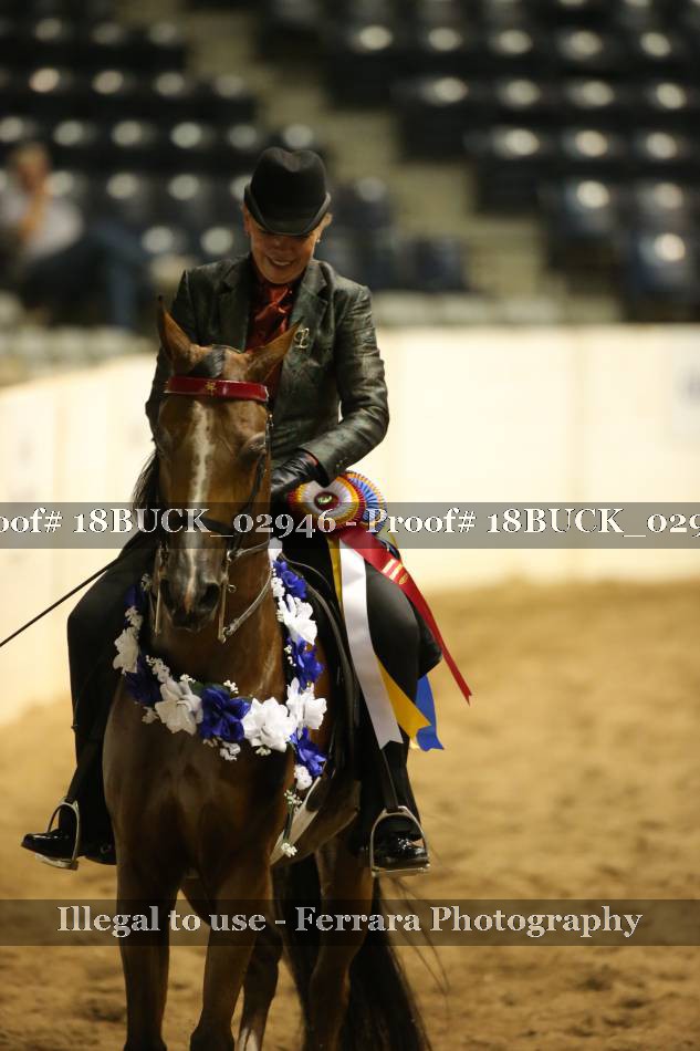 Proof 18BUCK_02946