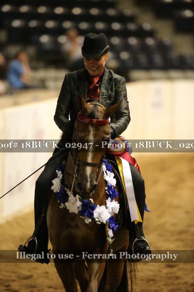 Proof 18BUCK_02947