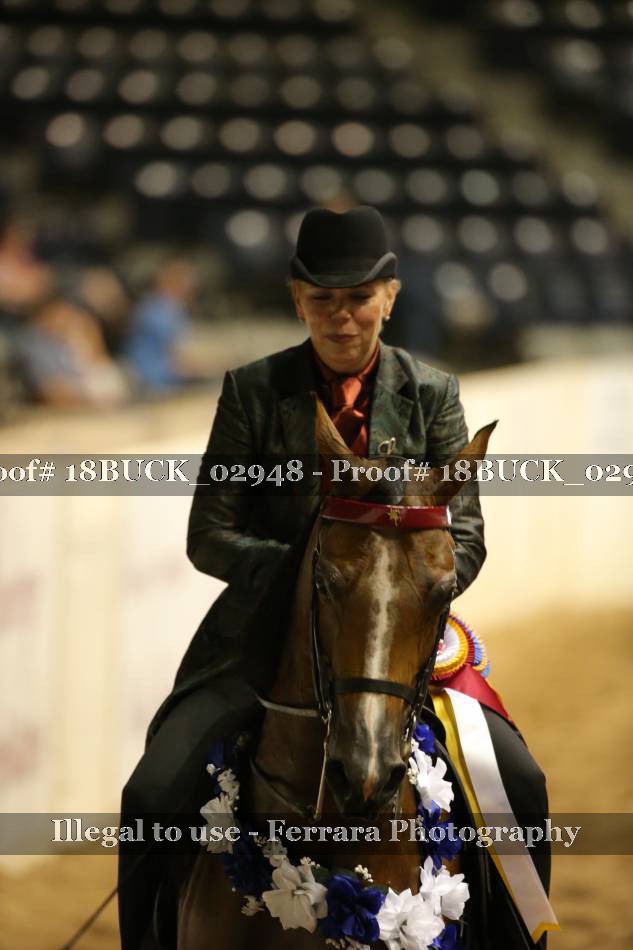 Proof 18BUCK_02948