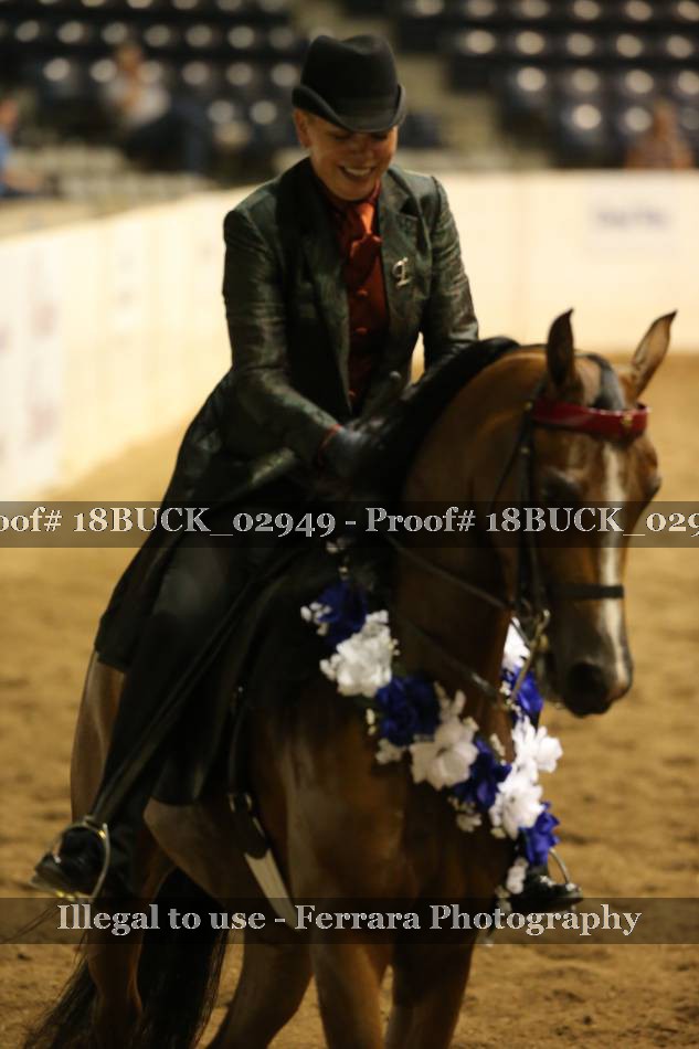 Proof 18BUCK_02949