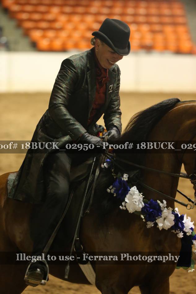 Proof 18BUCK_02950