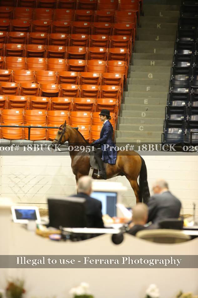 Proof 18BUCK_02951
