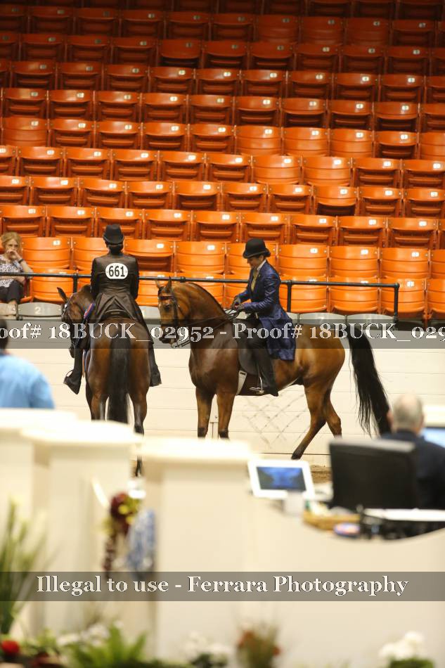 Proof 18BUCK_02952