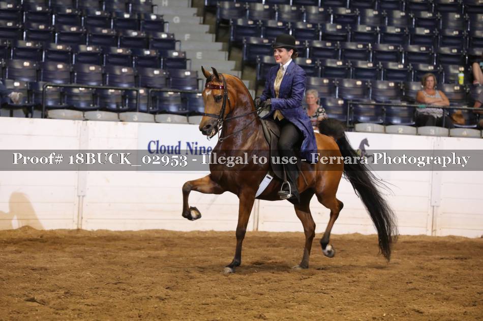 Proof 18BUCK_02953