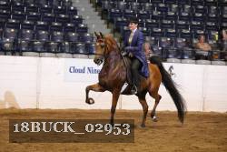 18BUCK_02953 proof