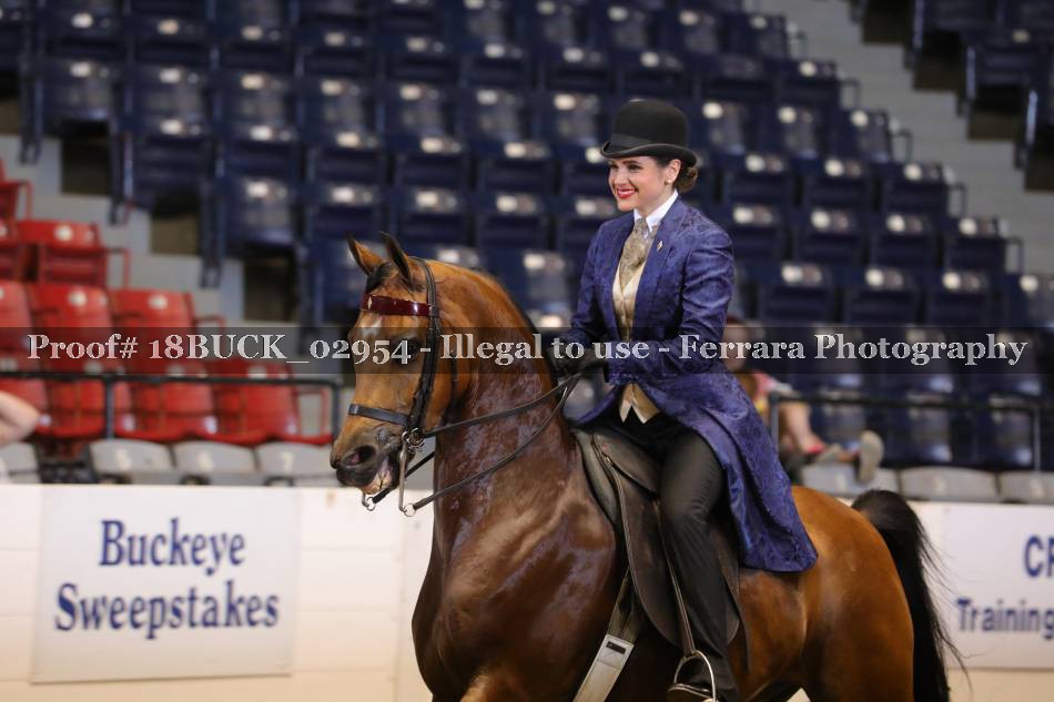 Proof 18BUCK_02954