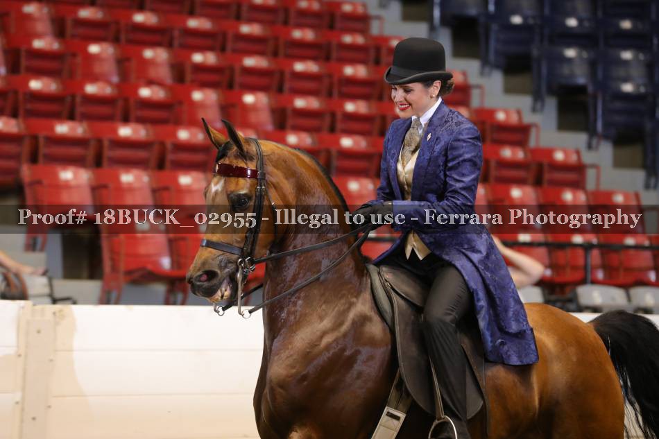 Proof 18BUCK_02955