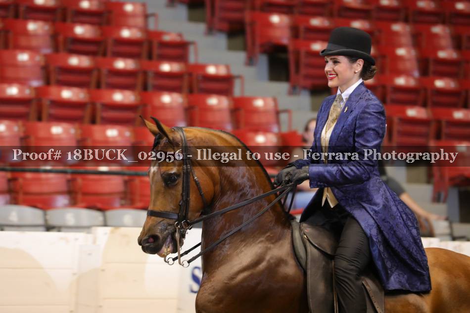 Proof 18BUCK_02956