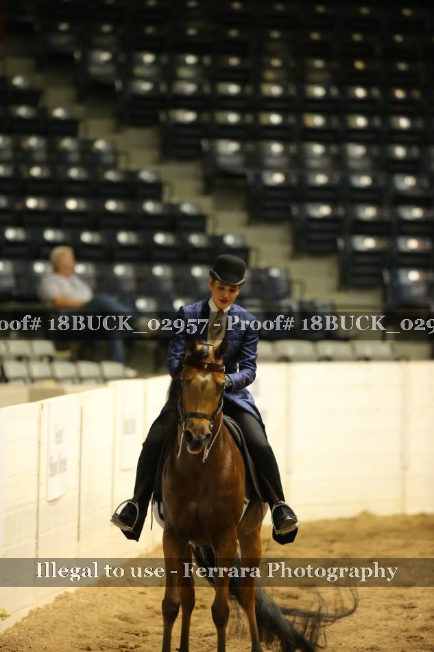 Proof 18BUCK_02957