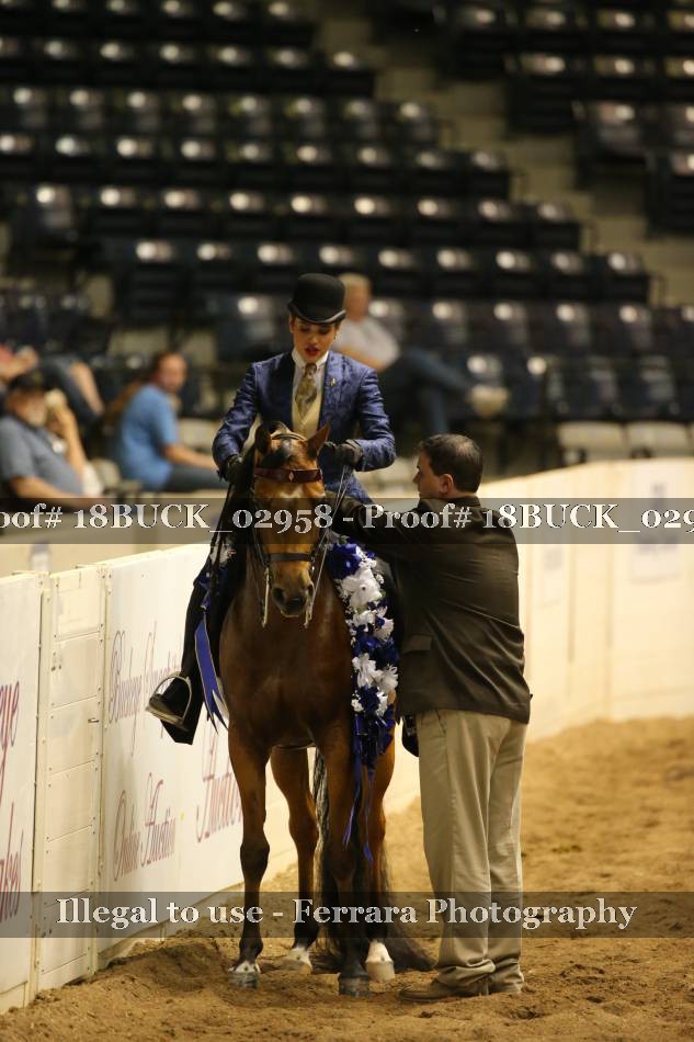 Proof 18BUCK_02958