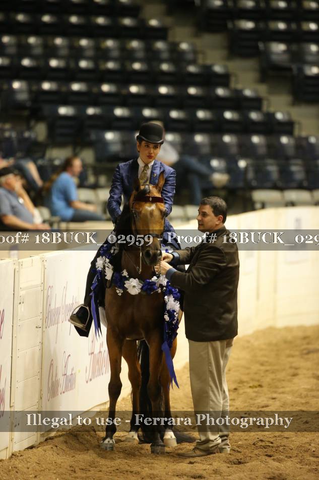 Proof 18BUCK_02959
