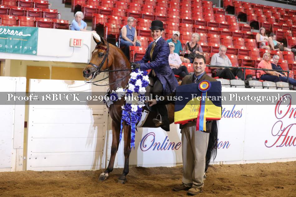 Proof 18BUCK_02960