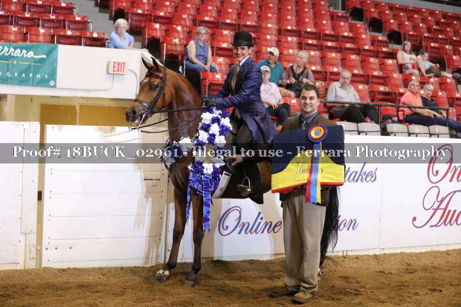 Proof 18BUCK_02961