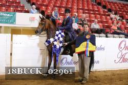 18BUCK_02961 proof