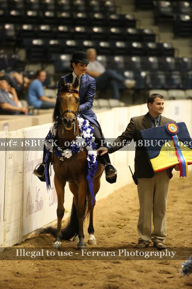Proof 18BUCK_02963