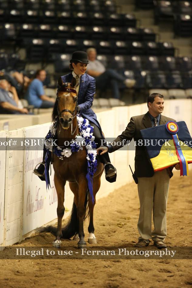 Proof 18BUCK_02964