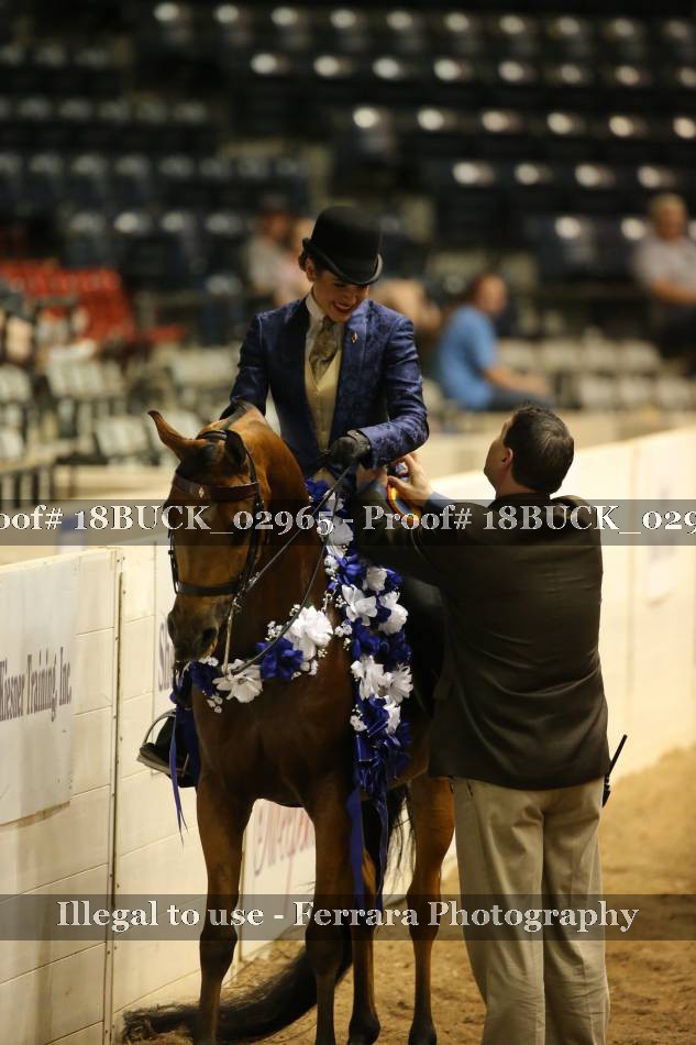 Proof 18BUCK_02965