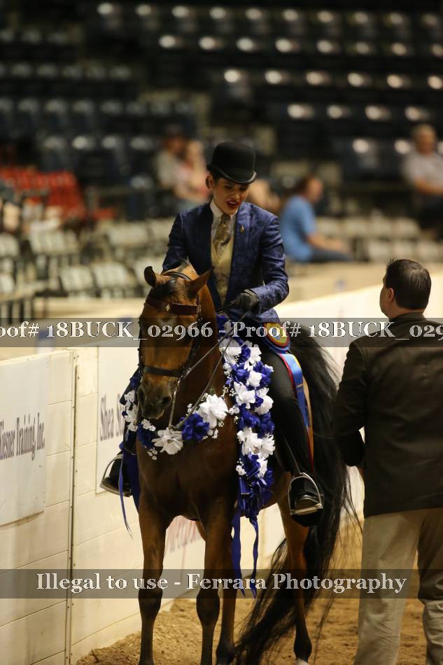 Proof 18BUCK_02966