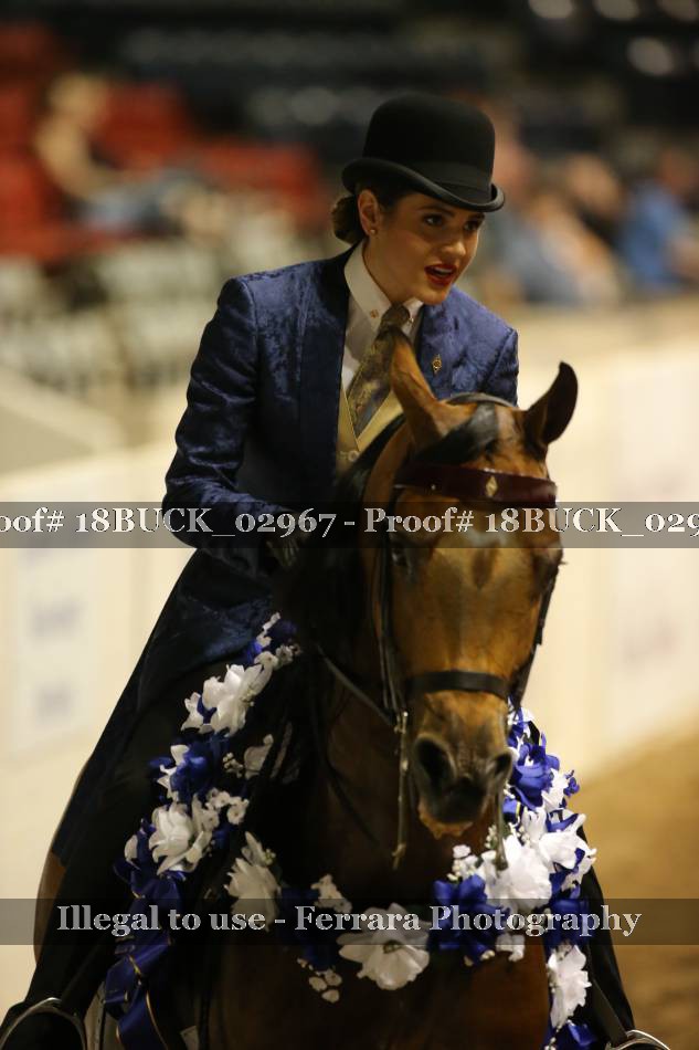 Proof 18BUCK_02967