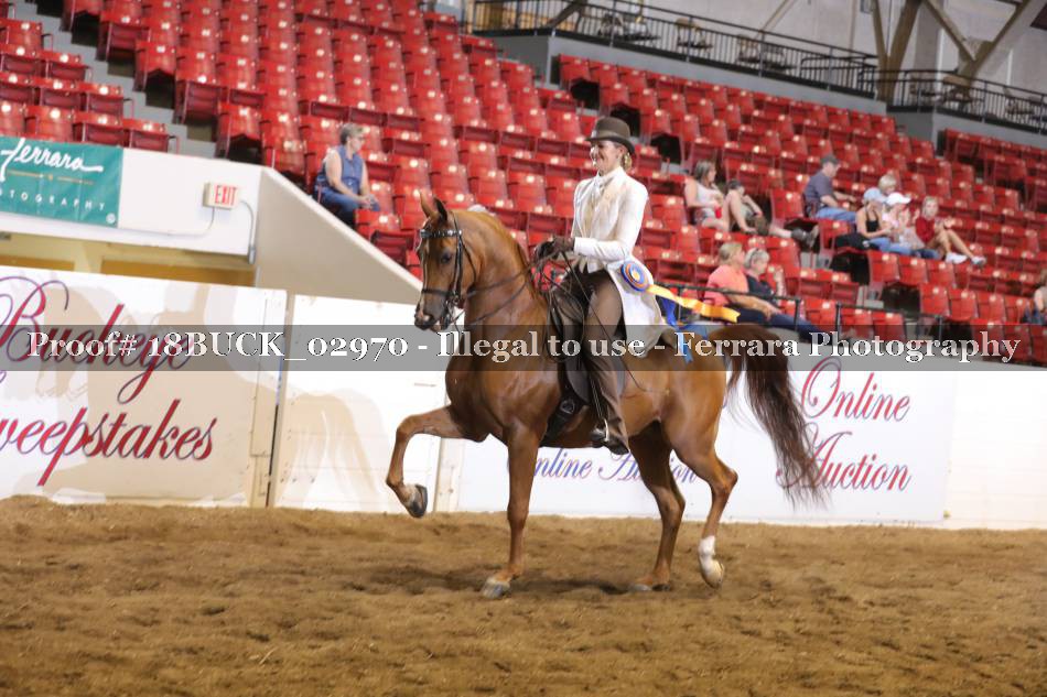 Proof 18BUCK_02970