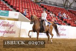 18BUCK_02970 proof