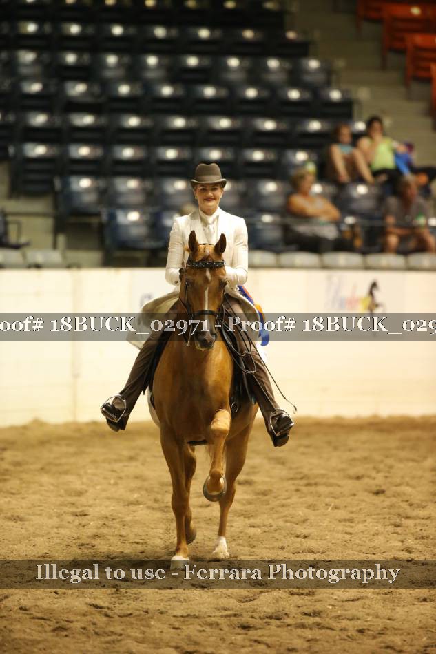 Proof 18BUCK_02971