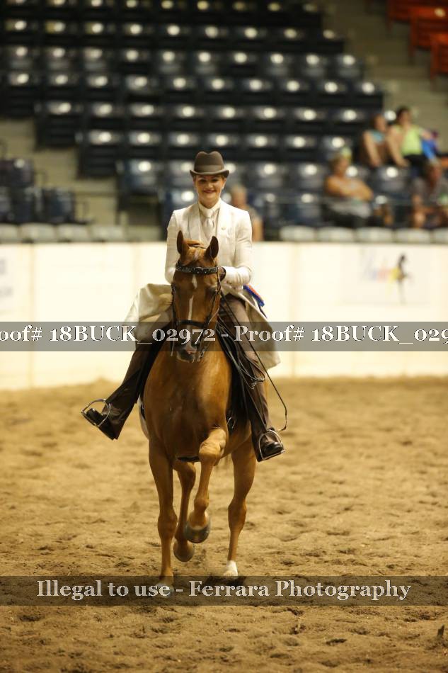 Proof 18BUCK_02972