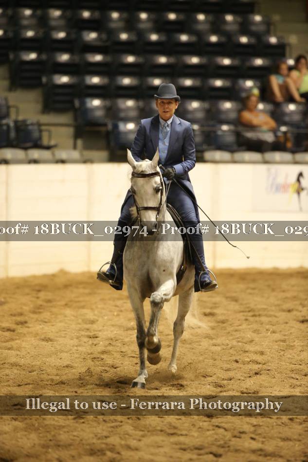 Proof 18BUCK_02974