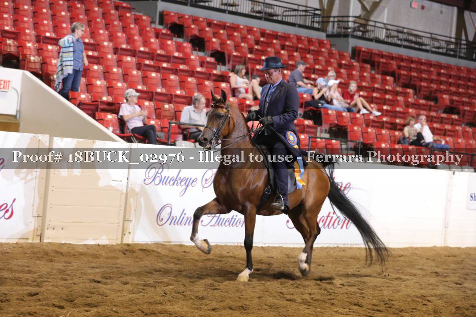 Proof 18BUCK_02976