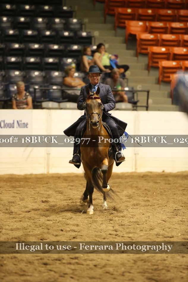 Proof 18BUCK_02977