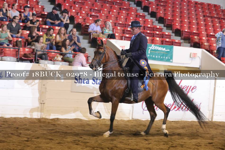 Proof 18BUCK_02978