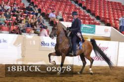 18BUCK_02978 proof