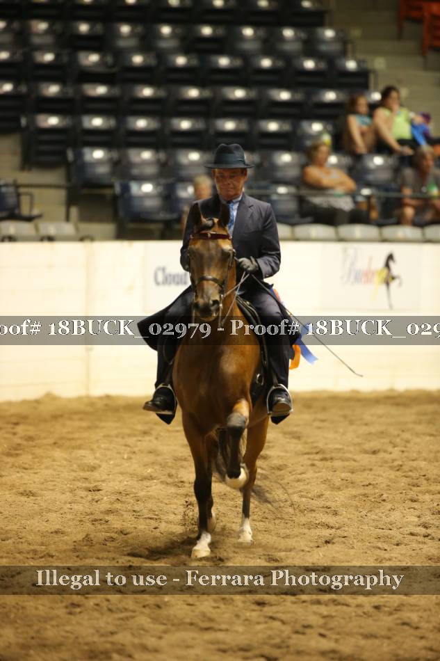 Proof 18BUCK_02979