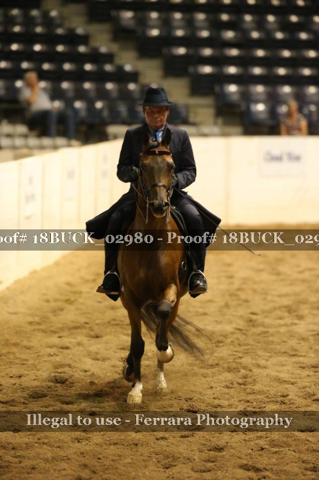 Proof 18BUCK_02980