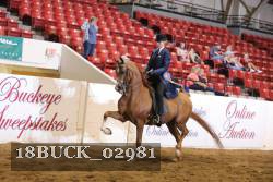 18BUCK_02981 proof