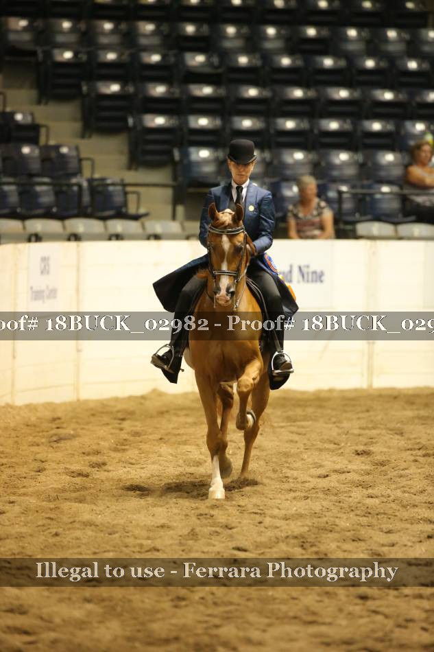 Proof 18BUCK_02982