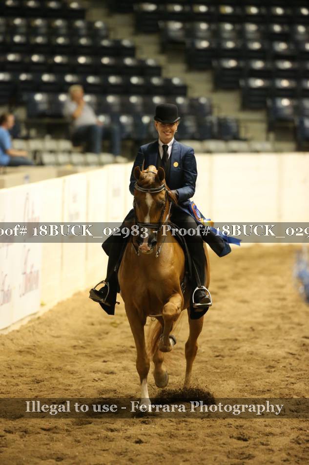 Proof 18BUCK_02983
