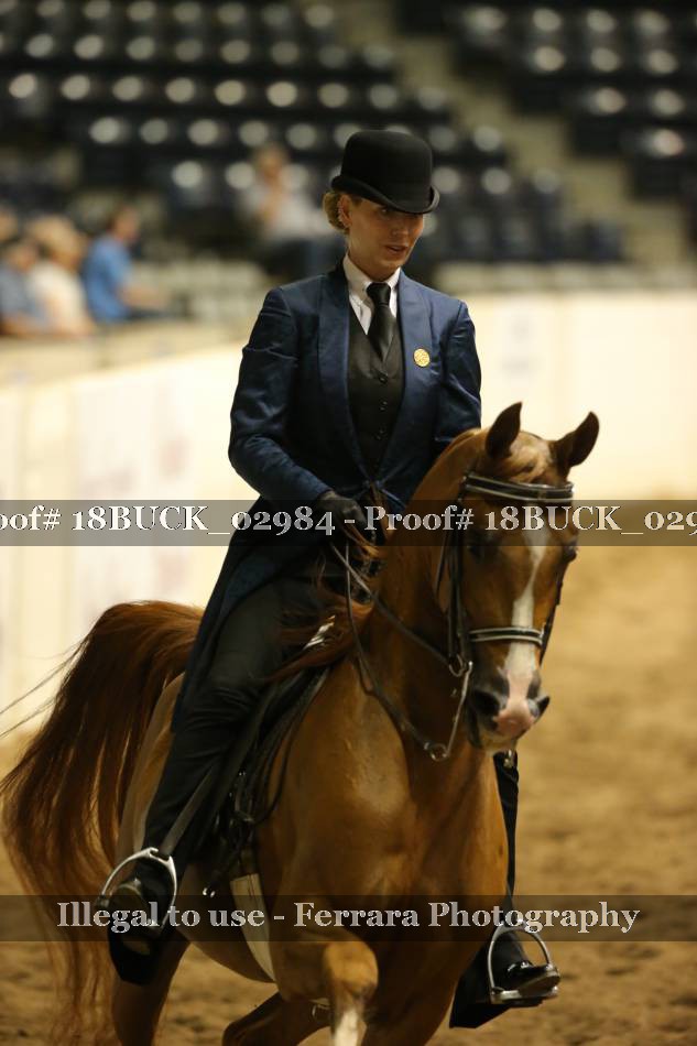 Proof 18BUCK_02984