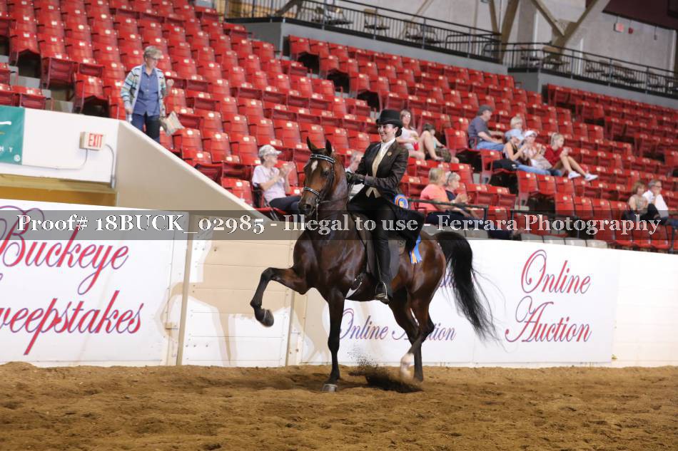 Proof 18BUCK_02985