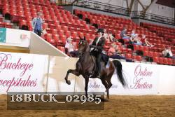 18BUCK_02985 proof