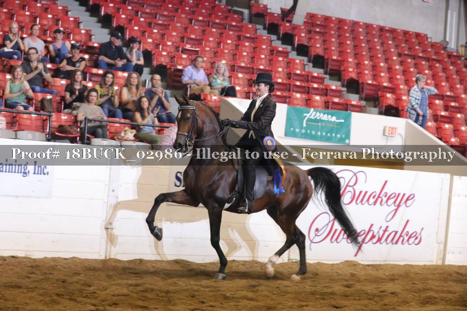 Proof 18BUCK_02986