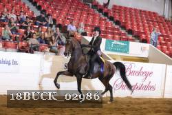 18BUCK_02986 proof